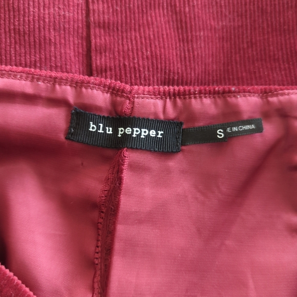 Blu pepper mini skirt women's size small lined embroidered corduroy red - Picture 6 of 6